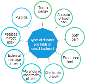 Types of diseases and fields of dental treatment Tooth decay, abrasion of tooth neck, tooth pain, fractured teeth, discoloration of teeth, morphologic abnormality of teeth, external damage of teeth, diseases in root apex, pulpitis